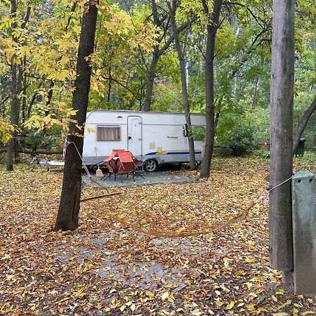 Tisza-beach wild camping4 Segedyn Zewnętrze zdjęcie
